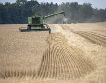 Agrární komora: Zemědělci letos sklidili 7,47 mil. tun obilovin, méně než loni