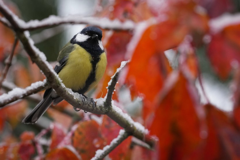 Po chladném začátku týdne se začne oteplovat, o víkendu až 18 stupňů
