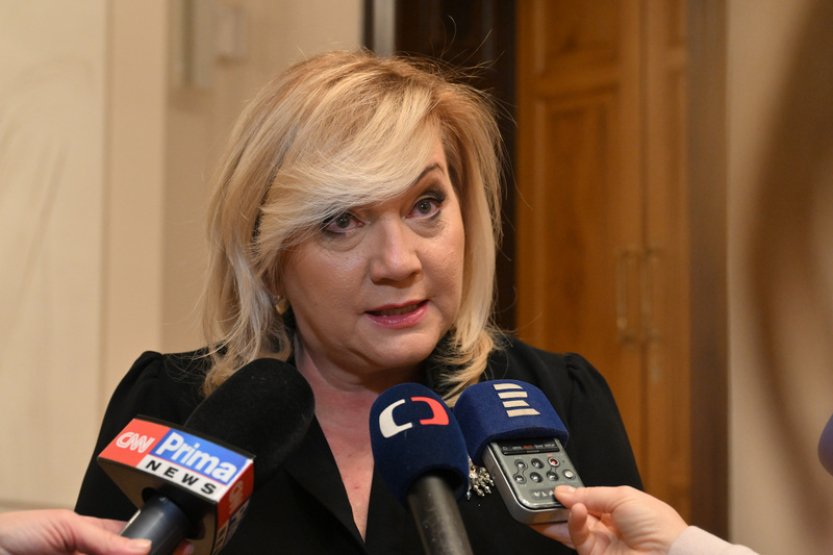 Hnutí ANO napadlo u Ústavního soudu vládní důchodovou reformu