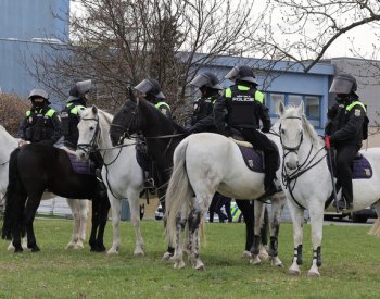 Po zápase Ostravy se Spartou policie zajistila sedm fanoušků Baníku