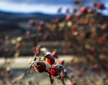 Noc bude mrazivější v Čechách, hlavně na západě