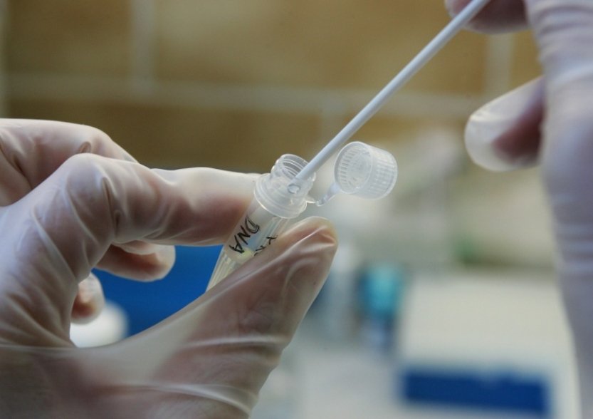Kriminalisté v Plzni téměř po 12 letech díky DNA objasnili znásilnění