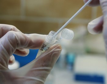 Kriminalisté v Plzni téměř po 12 letech díky DNA objasnili znásilnění
