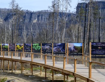 Do vyhořelé krajiny Č. Švýcarska je možné nahlížet z vyhlídkové plošiny