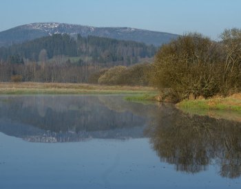 O víkendu se vyjasní, v noci na neděli hrozí přízemní mrazíky