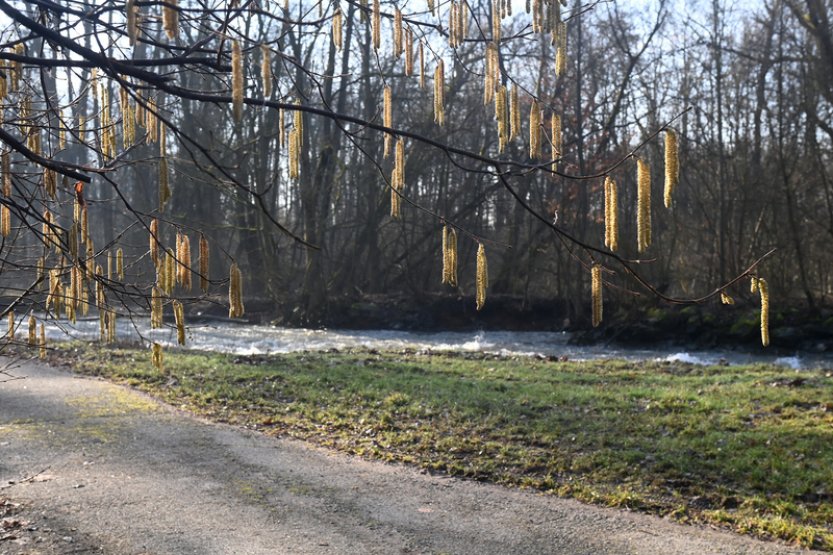 Expertka: Krajina trpí zeleným suchem, bez srážek to bude problém pro zemědělce