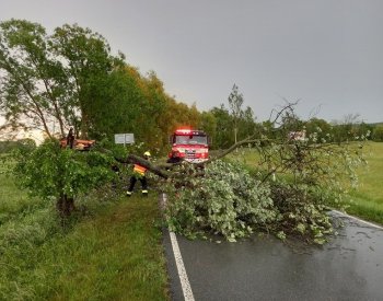 Silné bouřky v hradeckém kraji lámaly stromy, voda zatopila několik sklepů