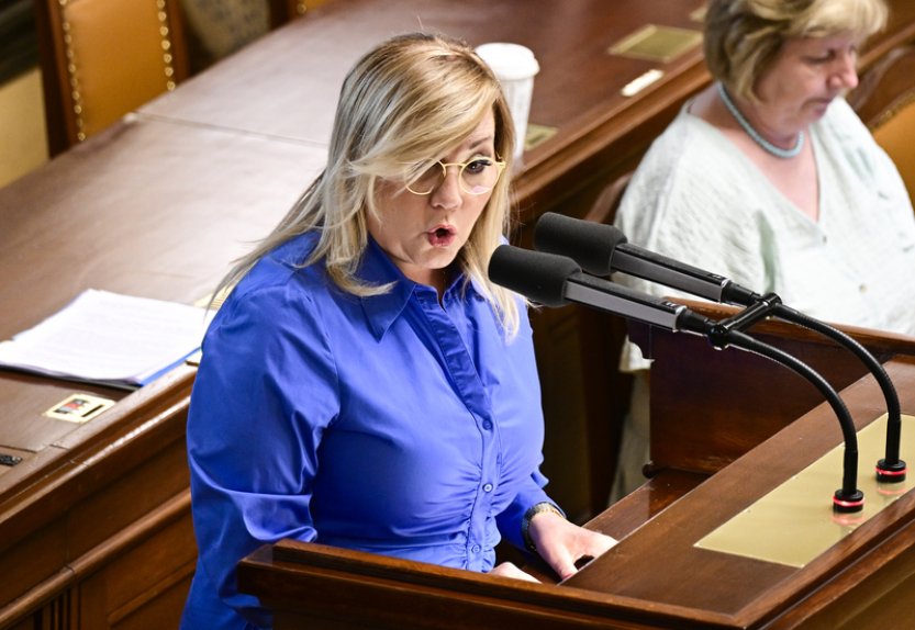 ANO požádá o schůzi Sněmovny k nedůvěře vládě patrně koncem příštího týdně