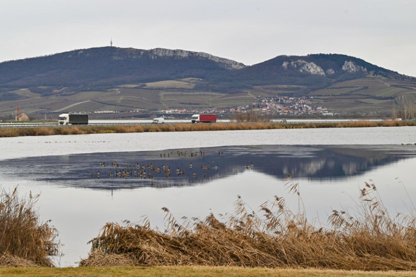Děti Země uspěly s další žalobou v boji proti zvyšování hladiny Nových Mlýnů