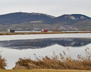 Děti Země uspěly s další žalobou v boji proti zvyšování hladiny Nových Mlýnů