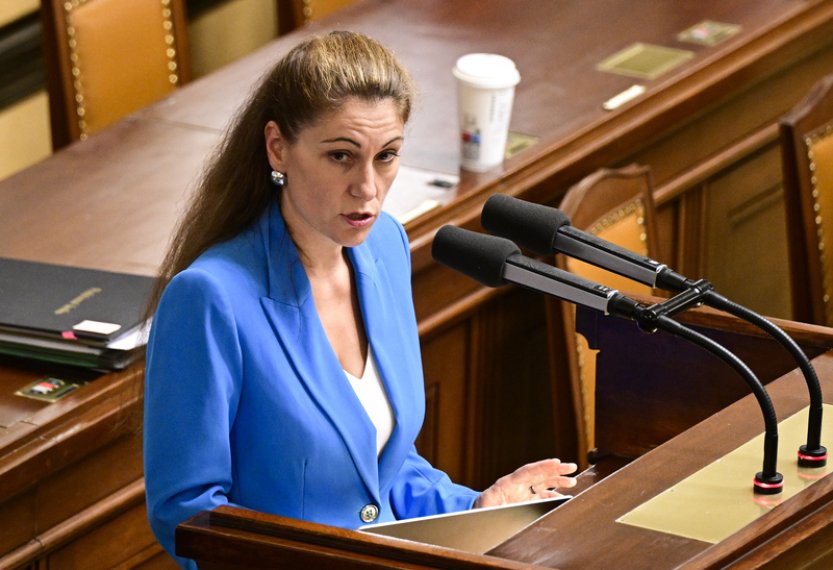 NS obdržel stížnost Decroix v Jiřikovského kauze, délku řízení nelze předjímat