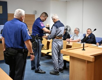 Soud ve Zlíně uložil Radku Březinovi v lihové kauze celníků 14 let vězení