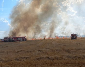 Na Hodonínsku hořelo 16 hektarů pole i šest chatek, jeden hasič se zranil