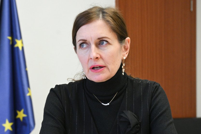 Zmocněnkyně: Nepřijetí zákoníku s ustanovením proti bití dětí by byla chyba