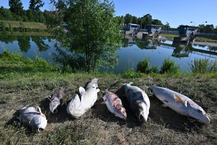 Rybáři budou demonstrovat u vodní elektrárny Nové Mlýny za její odstavování