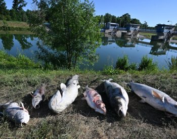 Rybáři budou demonstrovat u vodní elektrárny Nové Mlýny za její odstavování