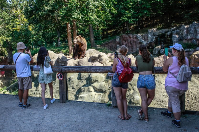 Brněnská zoo slaví 70 let, zájem o ni stále roste