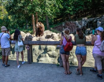 Brněnská zoo slaví 70 let, zájem o ni stále roste