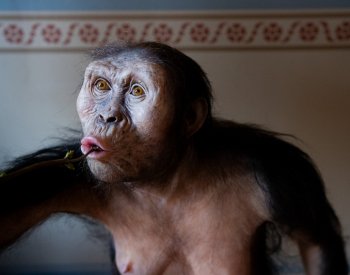 Fosilie 3,2 milionu let starých předků člověka Lucy a Selam jsou v Praze