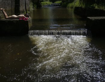 Teplotní rekordy padly na 60 % stanic, v Dobřichovicích bylo 36,9°C