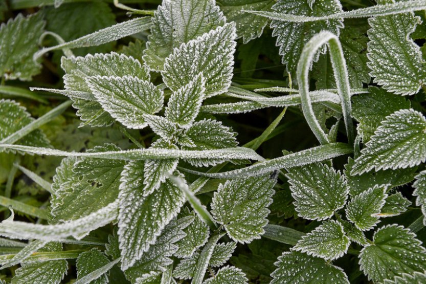 Dnešní ráno v Česku bylo nejchladnější v letošním létě