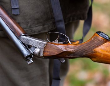 Myslivci v uplynulé sezoně zastřelili dosud nejvíc srnčí a daňčí zvěře