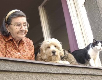 Jurečka: Průměrný důchod vzroste od ledna o 668 Kč, dosáhne 21.839 Kč