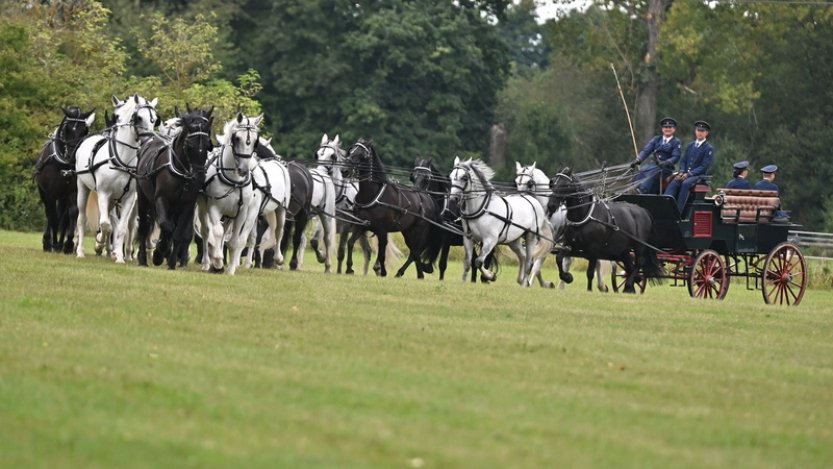 Vozataj Jiří Nesvačil junior předvedl jízdu s rekordním čtyřiadvacetispřežím