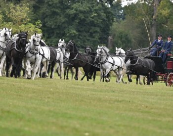 Vozataj Jiří Nesvačil junior předvedl jízdu s rekordním čtyřiadvacetispřežím