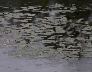 V Česku spadlo v září o polovinu více srážek než obvykle