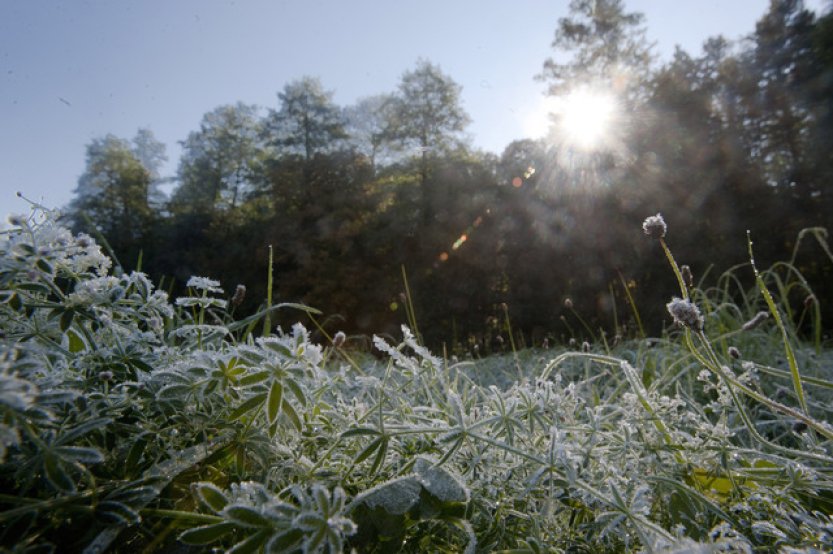 Páteční ráno bude mrazivé, nadcházející víkend sychravý a větrný