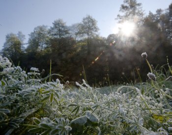 Páteční ráno bude mrazivé, nadcházející víkend sychravý a větrný