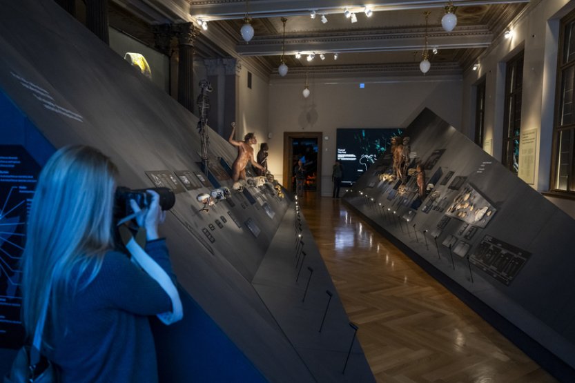 V Národním muzeu budou dnes naposledy k vidění fosilie Lucy a Selam