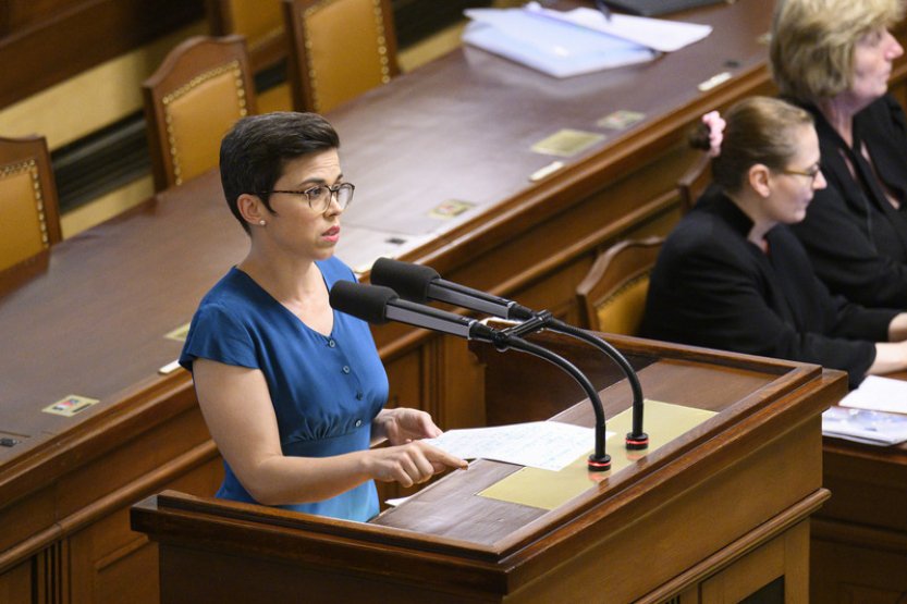 Nejvyšší soud odmítl dovolání Aliance pro rodinu ve sporu s Richterovou