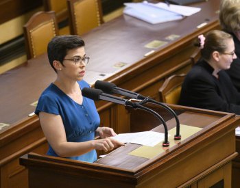 Nejvyšší soud odmítl dovolání Aliance pro rodinu ve sporu s Richterovou