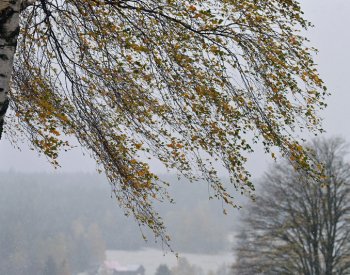 Silný vítr s nárazy až 70 km/h dnes zasáhne téměř celé Čechy