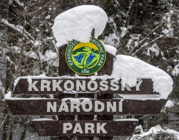 Soud dal za pravdu Správě KRNAP, i neživou přírodu Krkonoš je třeba chránit