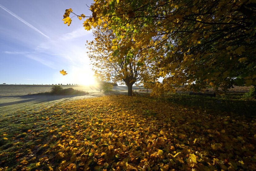 Na 11 ze 170 dlouhodobě měřících stanic v ČR dnes padly teplotní rekordy
