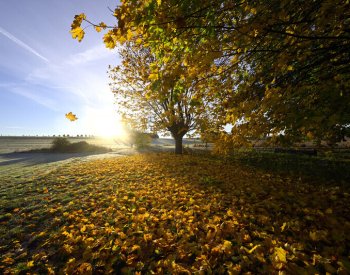 Na 11 ze 170 dlouhodobě měřících stanic v ČR dnes padly teplotní rekordy