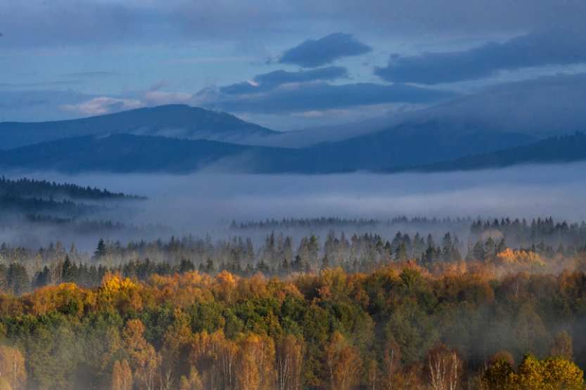 Oblačno s deštěm vystřídá mírné oteplení, na Martina sněžit nebude