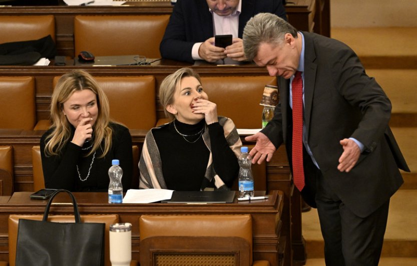 V čele zemědělského výboru Sněmovny bude Oborná, mediální výbor povede Talíř