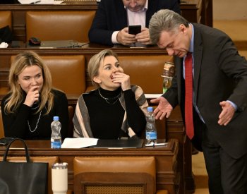 V čele zemědělského výboru Sněmovny bude Oborná, mediální výbor povede Talíř