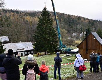 Vánoční strom pro Staroměstské náměstí uřízli dřevorubci v Jiřetíně pod Jedlovou