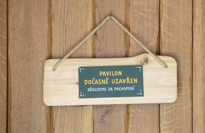 U dvou labutí z jihlavské zoo se potvrdila ptačí chřipka