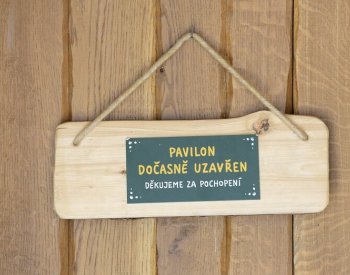 U dvou labutí z jihlavské zoo se potvrdila ptačí chřipka