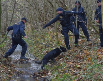 Pátrání po dvanáctiletém chlapci ze Zlínska je zatím neúspěšné, pokračuje