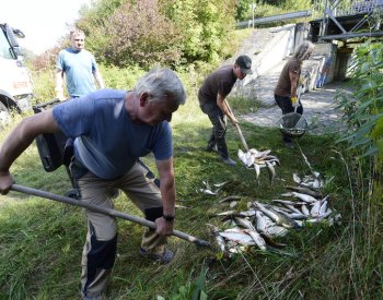 Energoaqua dostala pokutu 5 milionů Kč za odpadní vody v kauze Bečva