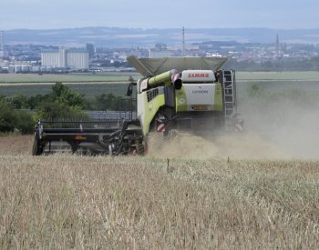 Zemědělci mají téměř sklizeno, výnos je oproti loňsku vyšší