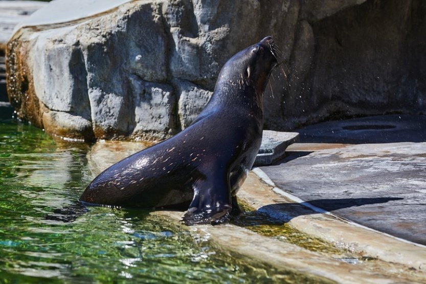 Na Štědrý den mohou Pražané navštívit památky, zoo i botanickou zahradu