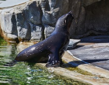 Na Štědrý den mohou Pražané navštívit památky, zoo i botanickou zahradu